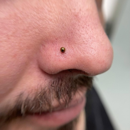 ПИРСИНГ NOSTRIL