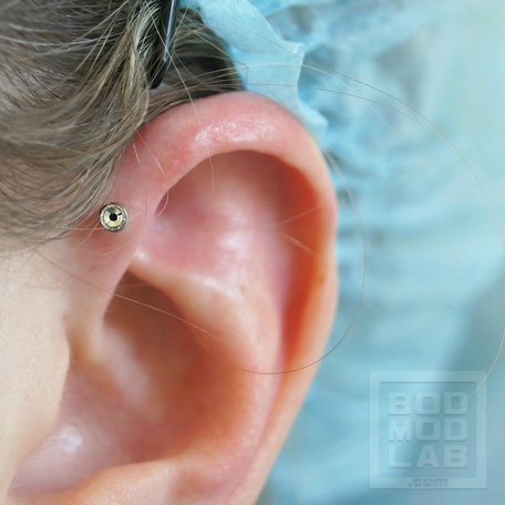 ПИРСИНГ FORWARD HELIX