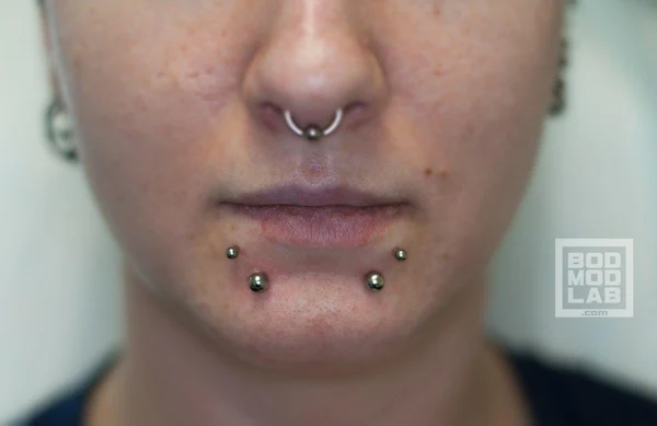 ПИРСИНГ LABRET УКУСЫ